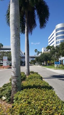 THE Premier Class A Medical Building in Sarasota: 1921 Waldemere St, Sarasota, FL 34239